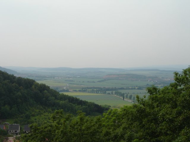 DSC03039